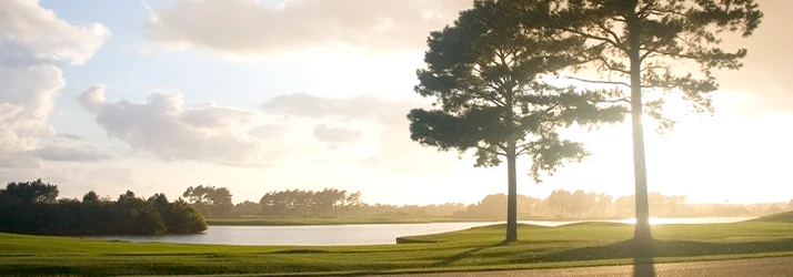 Forbes Chiropractic – Roebuck SC Service Areas